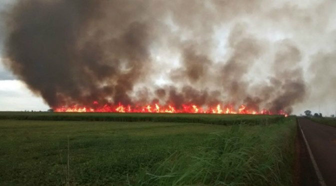Queimadas aumentam 127% em Mato Grosso do Sul